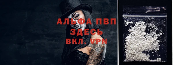 спайс Богданович