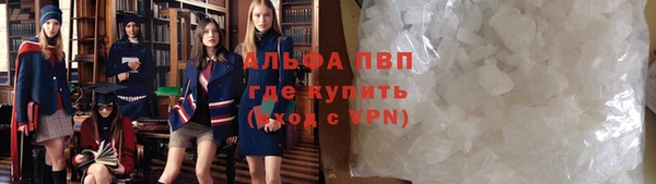 ГАЛЛЮЦИНОГЕННЫЕ ГРИБЫ Белоозёрский