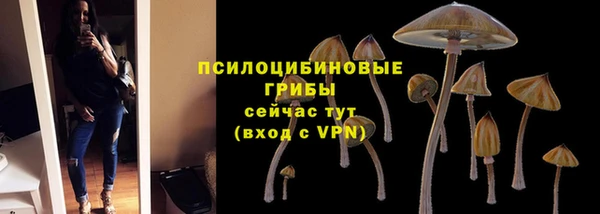 ГАЛЛЮЦИНОГЕННЫЕ ГРИБЫ Белоозёрский