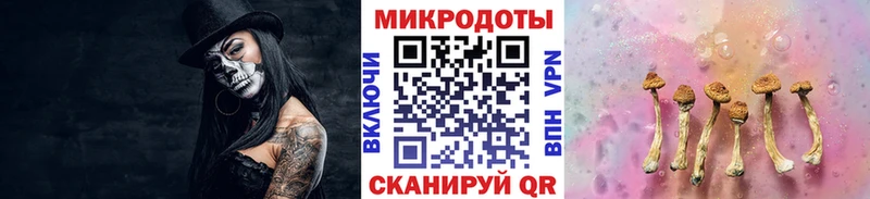 дарк нет Telegram  Махачкала  Псилоцибиновые грибы Magic Shrooms  блэк спрут  